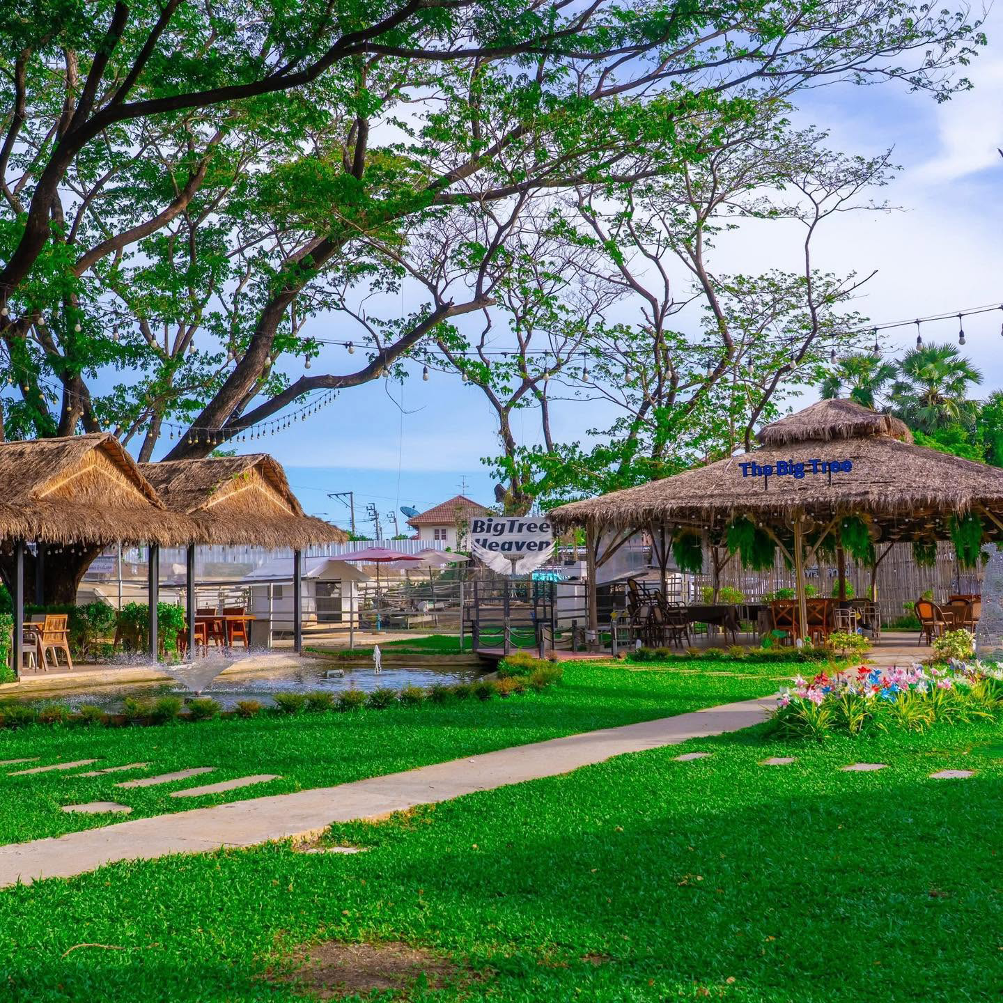 Big Tree Cafe ในคอมเพล็กซ์เดียวกัน ไทรม้า นนทบุรี