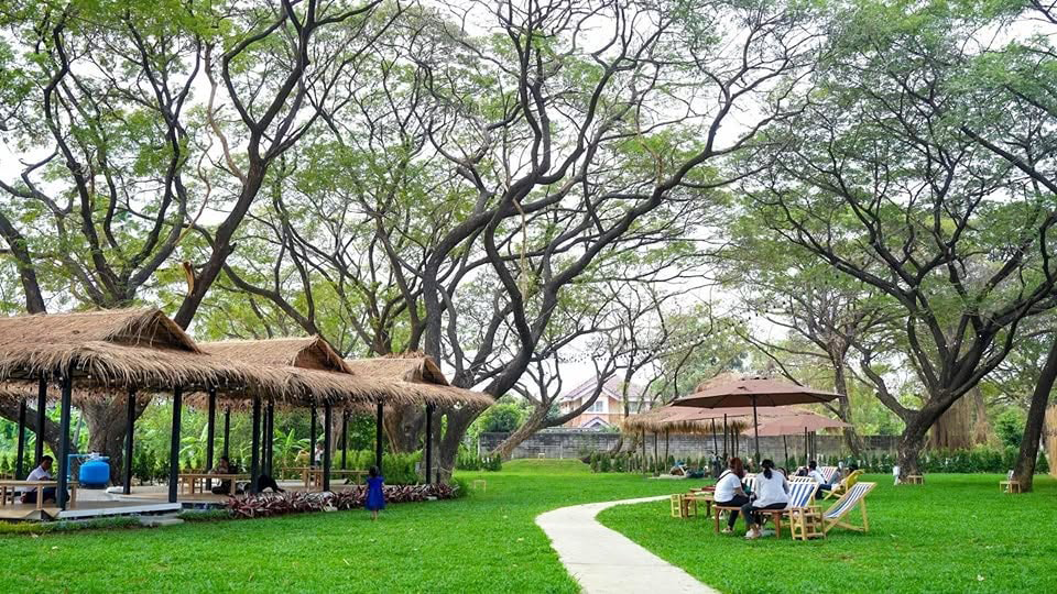 ที่จอดรถฟรีในคอมเพล็กซ์ The Big Tree ไทรม้า นนทบุรี